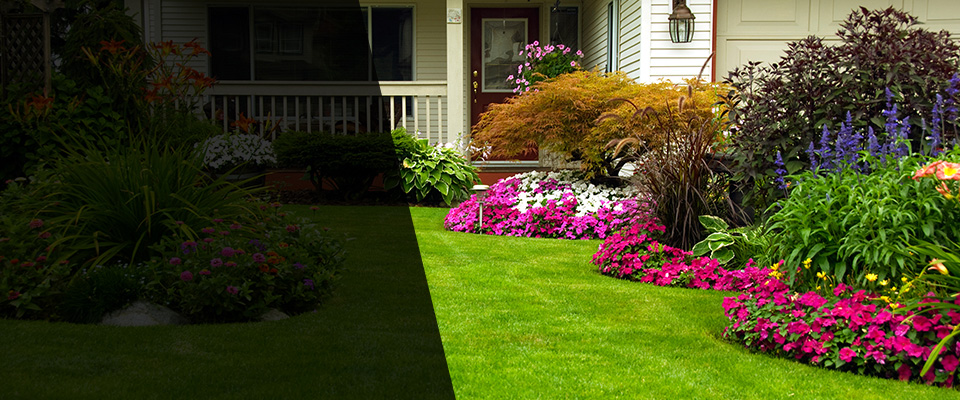 Los Altos Landscapers